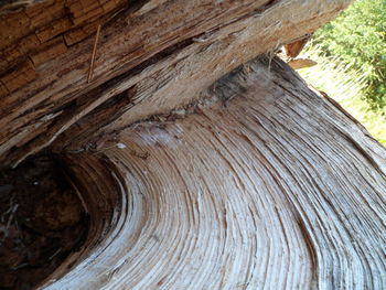 Low angle view of wood