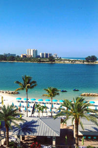 Palm trees by sea against clear sky