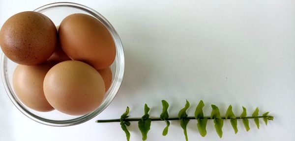 High angle view of eggs in container on table