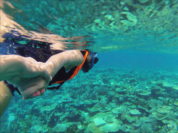 Cropped hand of person holding woman scuba diving undersea