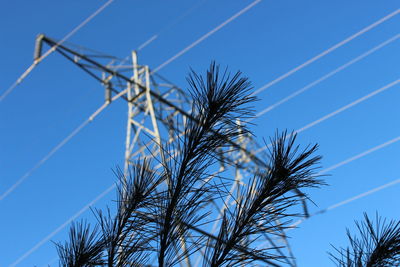 Low angle view of plants against blue sky