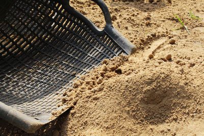 High angle view of crab on sand