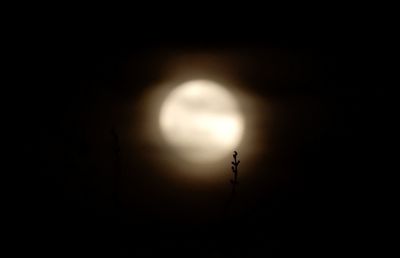 Low angle view of silhouette moon against sky at night