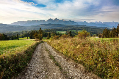 Dirt road amidst field against sky