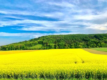 Scenic view of field against cloudy sky