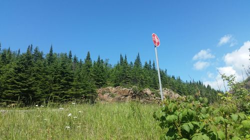 Low angle view of green landscape against blue sky