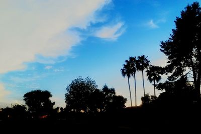 Low angle view of silhouette trees against sky