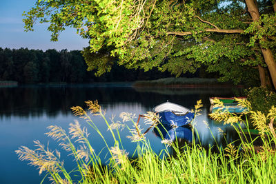 Scenic view of lake