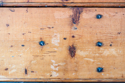 Full frame shot of wood