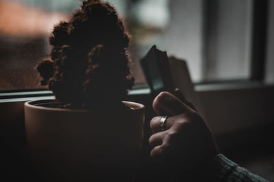 Cropped hand of woman holding book by potted plant at home