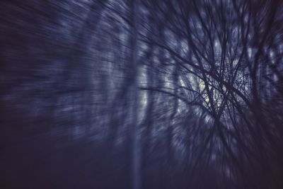 Macro shot of bare tree