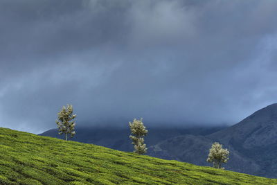 Scenic view of land against sky