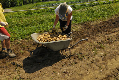 Rear view of man working on field