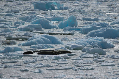 Scenic view of sea during winter