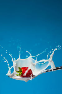 Close-up of ice cream against white background