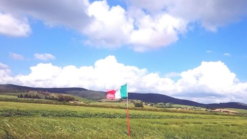 Scenic view of field against sky