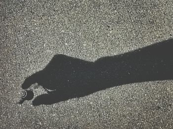 Shadow of hand holding snail on road