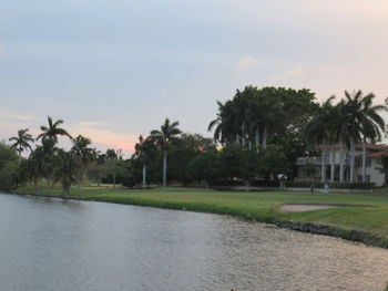 Scenic view of palm trees against sky during sunset