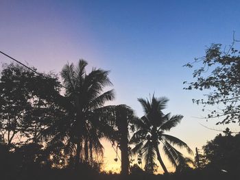 Low angle view of silhouette palm trees against clear sky