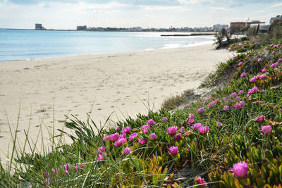 Scenic view of beach by sea against sky
