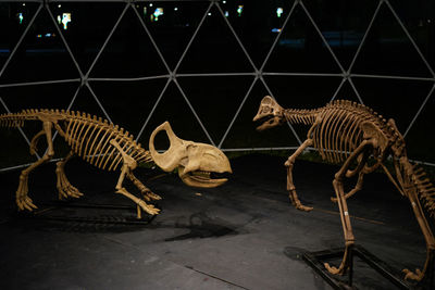 View of an animal sculpture