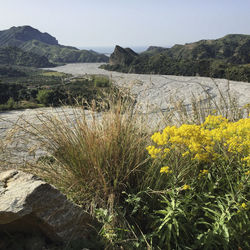 Scenic view of landscape against clear sky