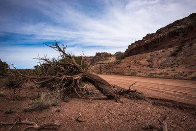 Scenic view of desert against sky