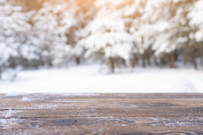 Close-up of snow on land