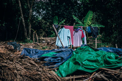 Clothes drying on clothesline in forest