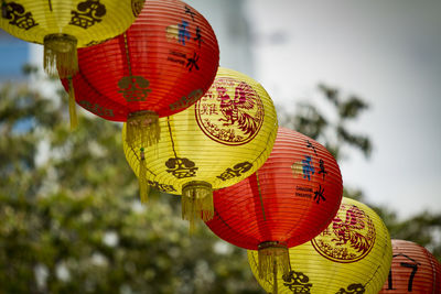 Chinese lanterns in asia