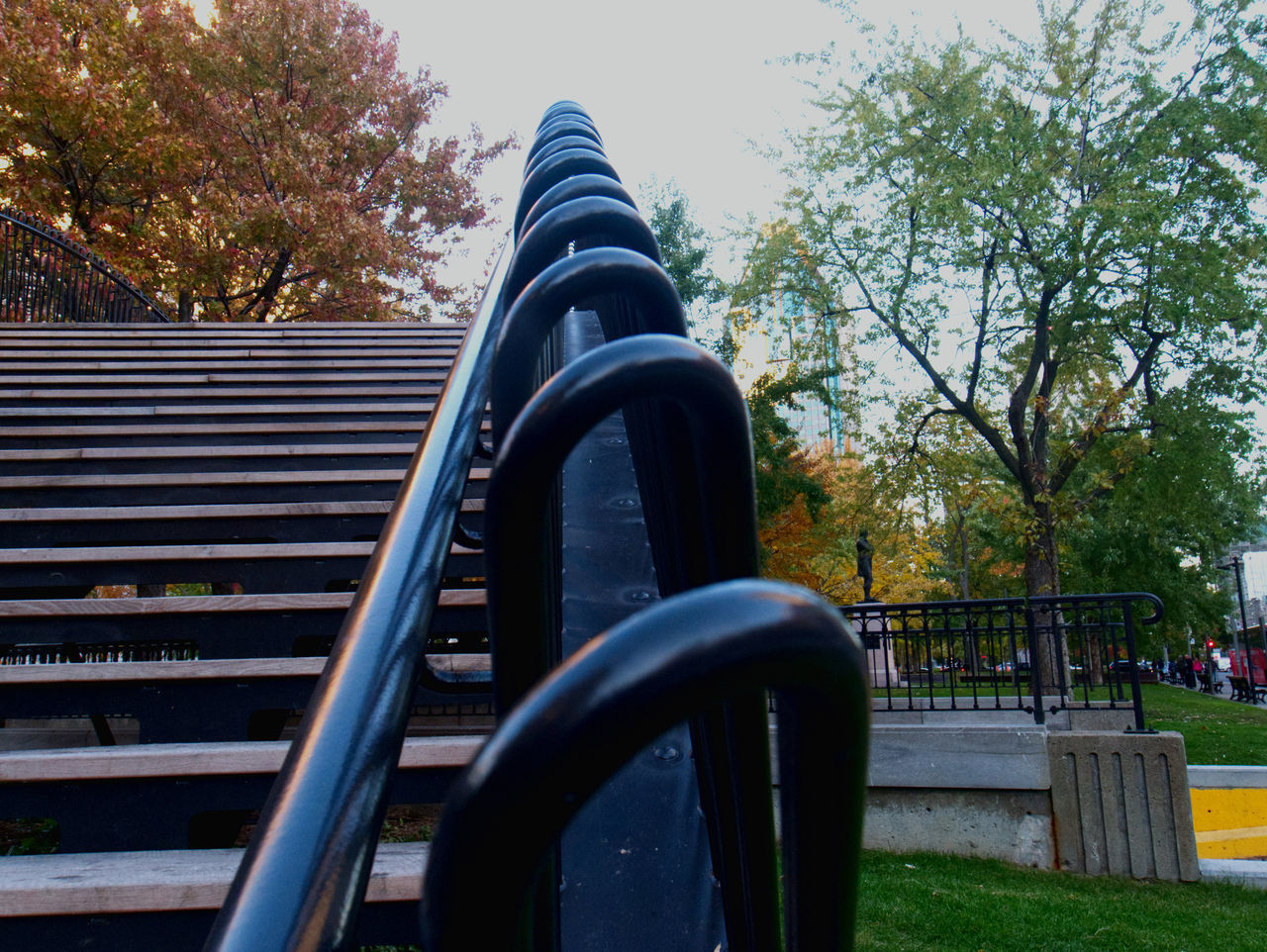 VIEW OF PARK BENCH