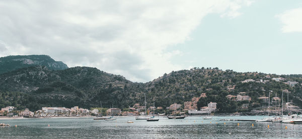 Boats moored at harbor