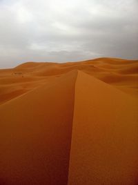 Scenic view of desert