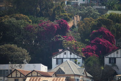 High angle view of house amidst trees and buildings