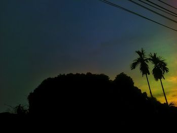 Silhouette of trees at sunset