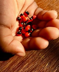 Close-up of hand holding berries