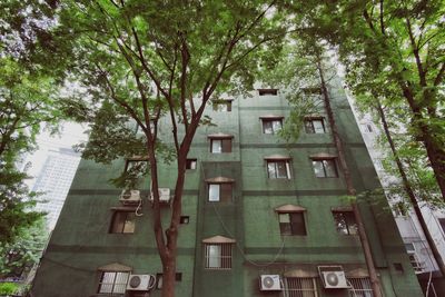 Low angle view of building