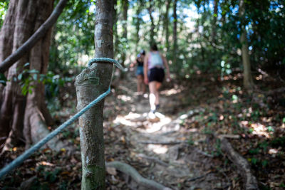 People in forest