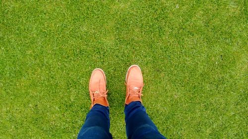 Low section of man standing on grass