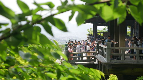 Large groups of tourists