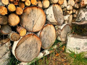 Stack of logs on field