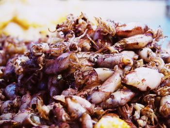 Close-up of seafood
