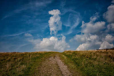 Trail on grassy field against sky