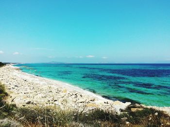 Scenic view of beach