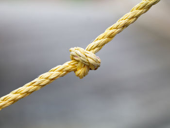 Close-up of rope tied on metal