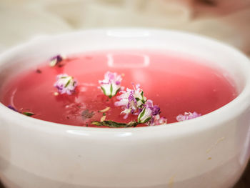 Close-up of pink flowers in bowl