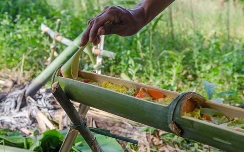 Cropped hand of man preparing food at campsite