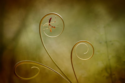 Light painting in bubble