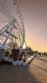 ferris wheel