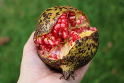 Close-up of hand holding strawberry